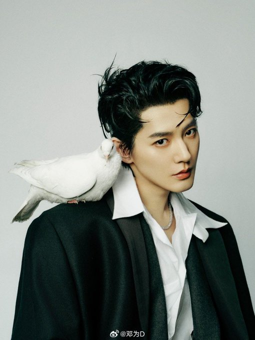 Deng Wei public/images/actor/images/Deng-Wei-6298.jpeg