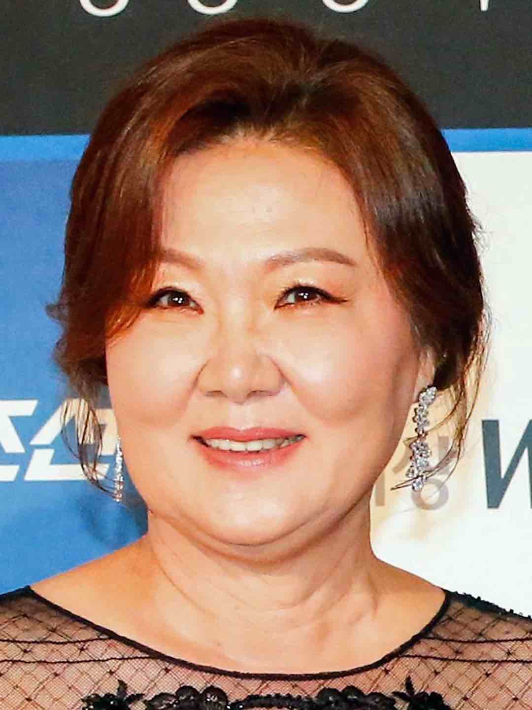 public/images/actor/profilePic/Kim-Hae-Sook-5437.jpeg